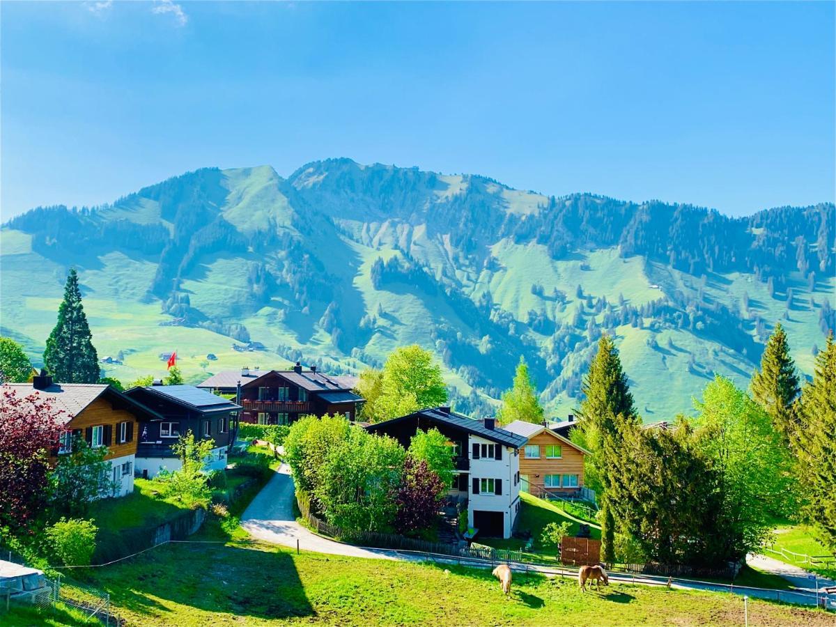 The Swiss Paradise 1 Penthouse Apartment Wirzweli
