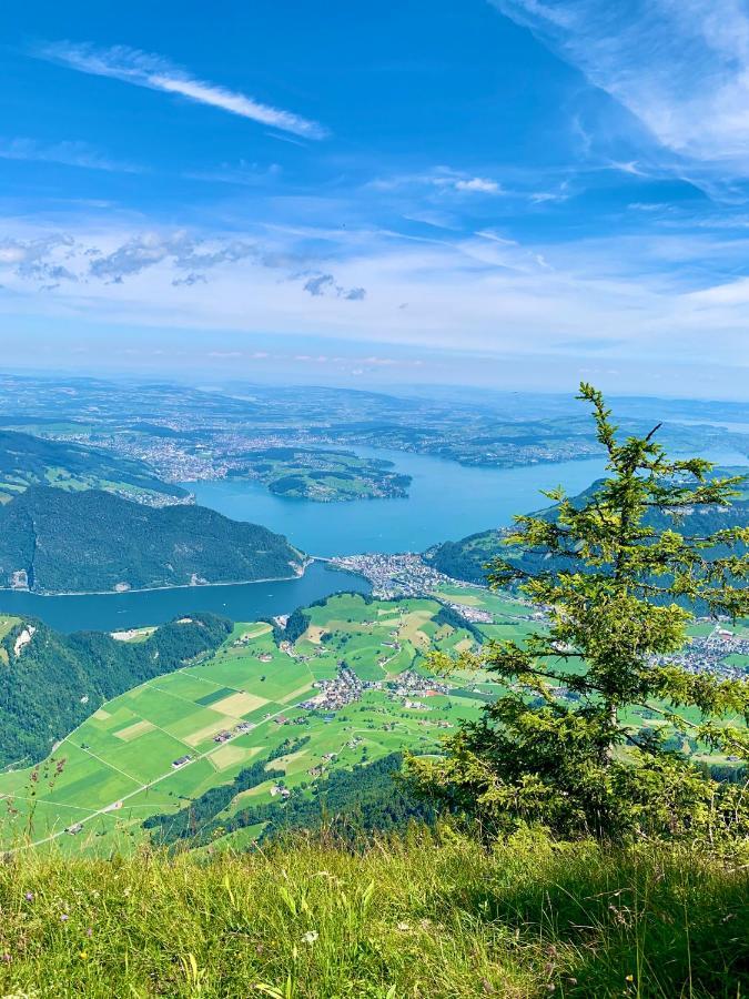 The Swiss Paradise 1 Penthouse Wirzweli